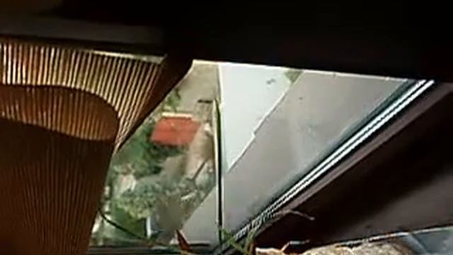 Птица бьется в моё окно смотреть онлайн