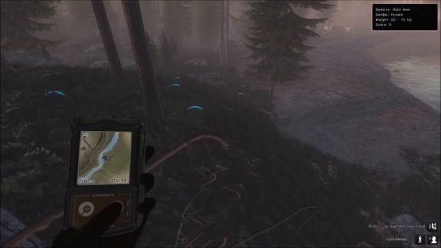 .44 Mulie Comp Hunt [Shoot' N Scoot #4] theHunter:Classic2020 смотреть онлайн