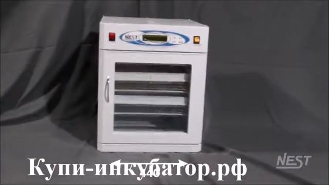 Инкубатор Nest-100 Elite смотреть онлайн