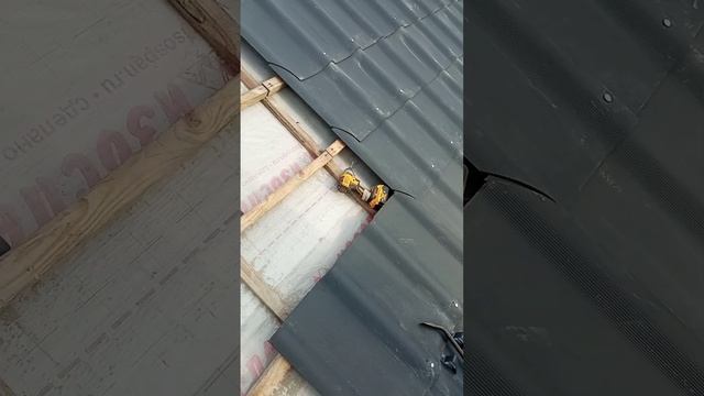 Домовенок Ремонтович