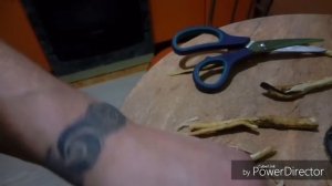 корень цикория-как делать