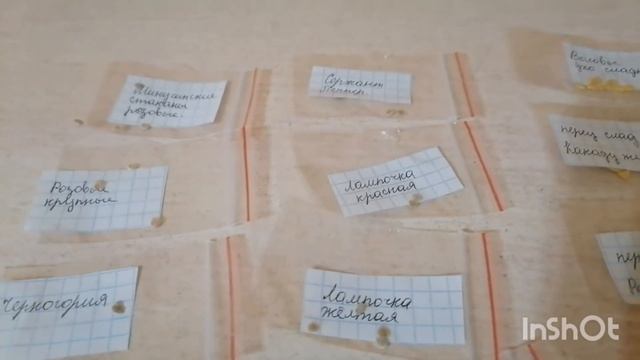 Коллекционные сорта томатов на сезон 2022 ???