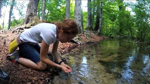 A visit to Plitvice Lakes National Park - Croatia смотреть онлайн