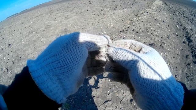 Выход с АКА Сигнум МФТ 7272М. Не додобрил дедушку. смотреть онлайн