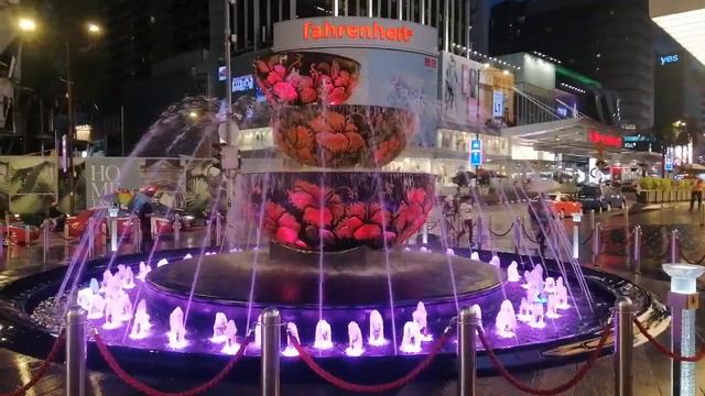 Pavilion Hibiscus water fountain during Pendamic. смотреть онлайн