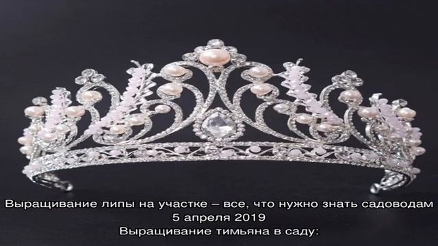 Высаживание пророщенного ананаса в горшок смотреть онлайн
