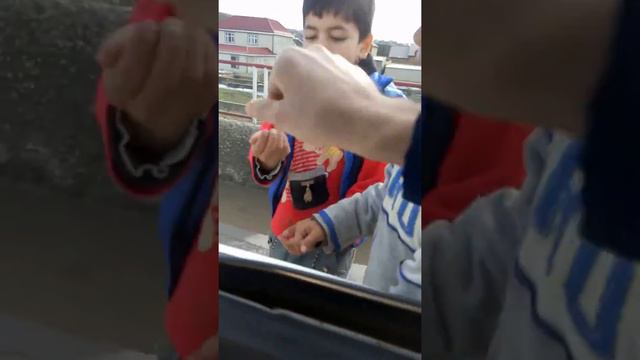 Копия видео "Новокули—хасавюрт😁😁😁" смотреть онлайн