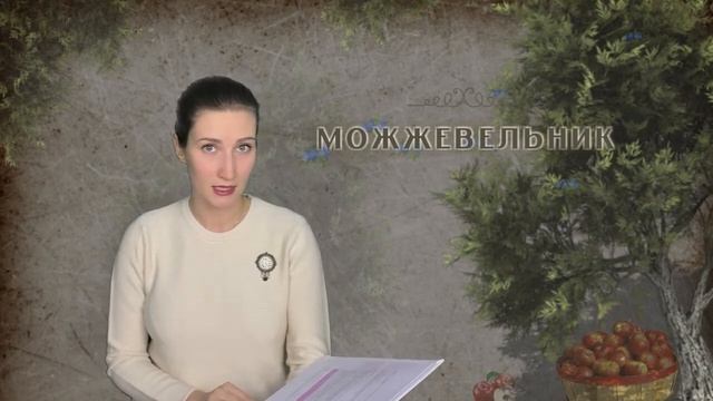 Архетип Справедливость | 8 аркан | ? На примере сказки Можжевельник ? смотреть онлайн