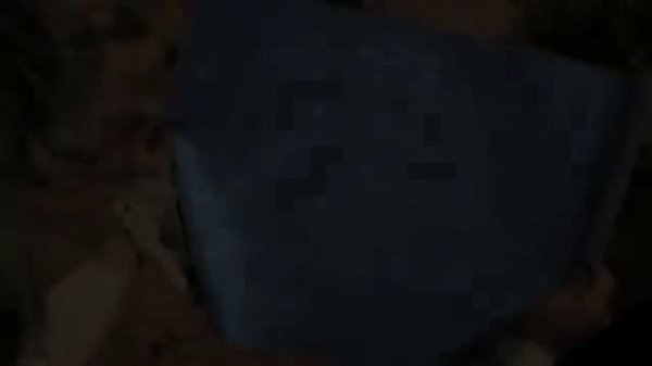 Road Runner vs Coyote (El Coyote y El Correcaminos)