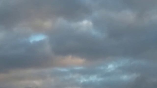 10 ноября 2020 г. хищник атакует, андижанские голуби узбекские голуби смотреть онлайн