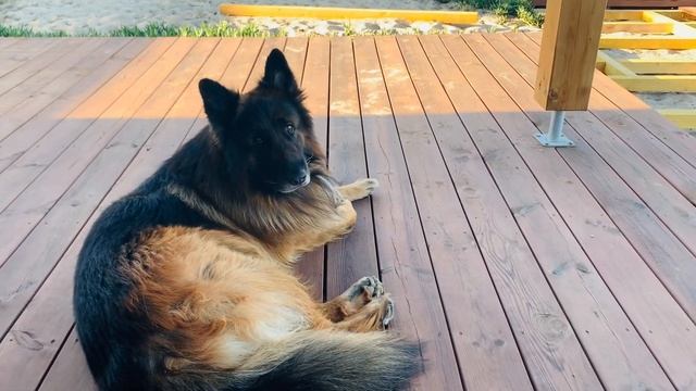 Terrace around the pool 4K/ with our own hands / Терраса вокруг бассейна/ своими руками ?? смотреть онлайн