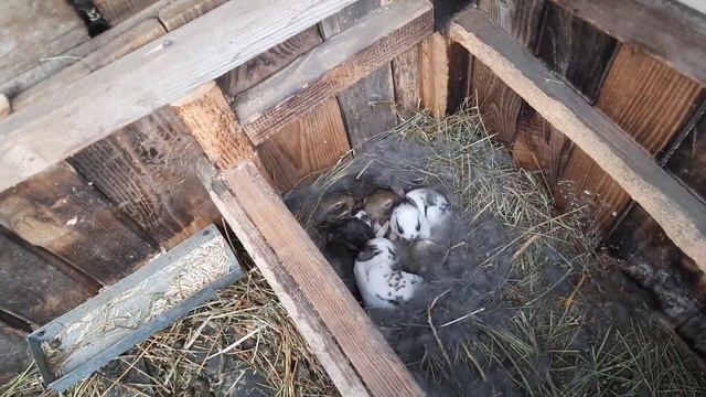 Нужно эффективнее использовать время... маленькие шаги в этом направлении! смотреть онлайн