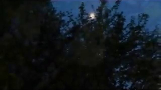 Влюблённый соловей смотреть онлайн