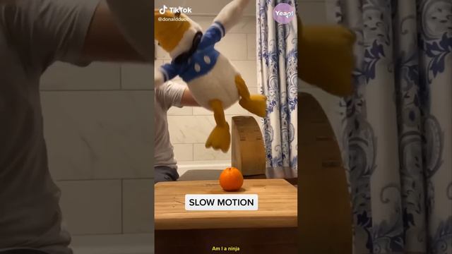 Best of DONALDDUCC TikTok Compilation - Funny Donald Duck TikToks of 2021 смотреть онлайн