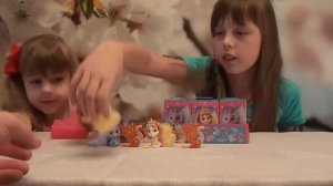 Свит Бокс. Королевские питомцы.