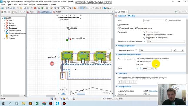 Модель Anylogic кормления животных/ Anylogic Model Of Animal Feeding.