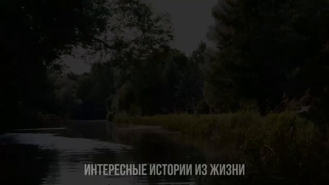 ПО-БЫСТРОМУ И БЕЗ РЕЗИНЫ ОДИН РАЗОК. Жизненные истории и аудио рассказы, измена жены в браке смотреть онлайн