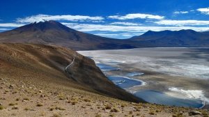 §29 "Зональные типы почв", География 8 класс, Домогацких