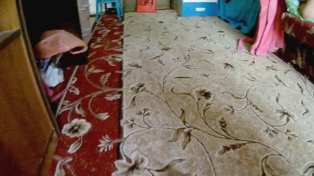 Скворчонок немного подрос