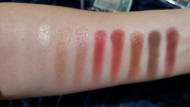 DIOR Backstage Eye Palettes / 008 Khaki Neutrals And 009 Burgundy Neutrals ?