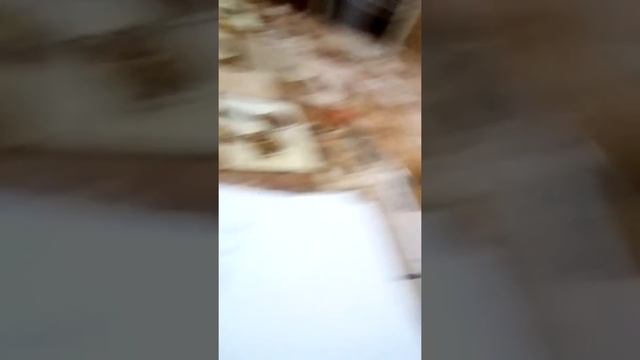 Реальное видео в реальном времени смотреть онлайн