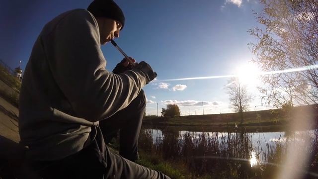 Ирландская флейта tin whistle (Lord of the Rings - Shire song (Tin Whistle) Concerning hobbits смотреть онлайн