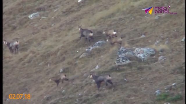 В Сочи закрыли несколько туристических маршрутов смотреть онлайн