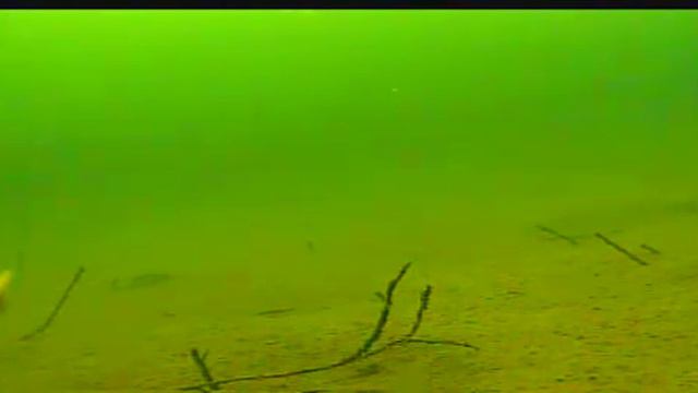 Usami Daiba 55 S #554, depth 4,5 m смотреть онлайн