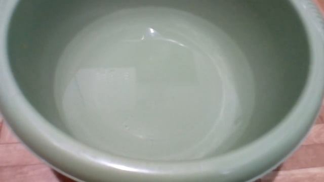 ПОЛЕЗНЫЕ СОВЕТЫ