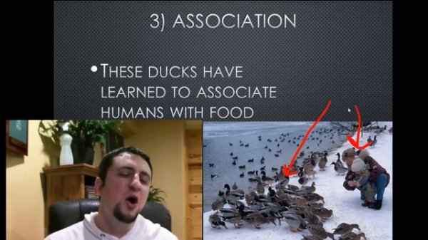 Animal Behavior - Learned Behaviors