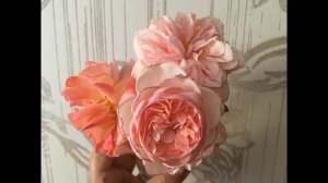 Новая роза Мархенцаубер (Мерхенцаубер-Marchenzauber) из РусРозы. Описание сорта.