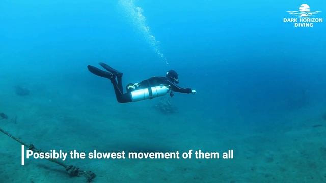 Sidemount Skills 1 - Propulsion Techniques - Dark Horizon Diving смотреть онлайн