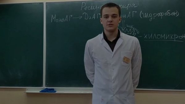 Переваривание липидов  Липолиз  Липогенез