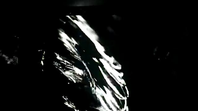 Raven Interlude live at The Monster Ball Tour - Los Angeles 12/22/2009 смотреть онлайн