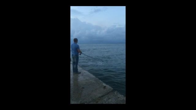 Моя 1-ая РЫБАЛКА в Севастополе .Ставрида.Бухта парка ПОБЕДЫ !кРЫМ . смотреть онлайн