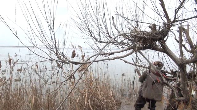 Ловен клуб - Незабравими моменти по време на лов за патици...част.2 смотреть онлайн