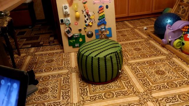 Бенгал играет надувным пуфиком)