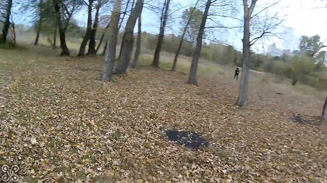 Осенняя FPV тренировка в небольшой рощице. Учимся летать в ограниченном пространстве. смотреть онлайн