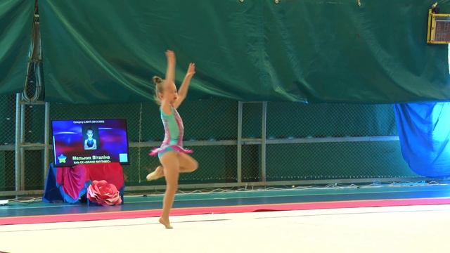 Мельник Віталіна 2012