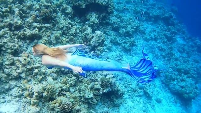 "ВИКТОРИЯ" ВИДЕО ОТ КЛИЕНТОВ Хвост от компании Happy Ocean смотреть онлайн