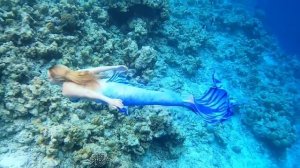 «ВИКТОРИЯ» ВИДЕО ОТ КЛИЕНТОВ Хвост от компании Happy Ocean