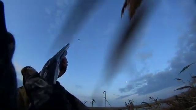 Охота в Приморско-ахтарске, охота в Краснодаре, охота, охота на уток, иж27