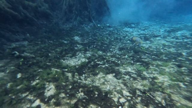 Finding lost treasure diving underwater смотреть онлайн