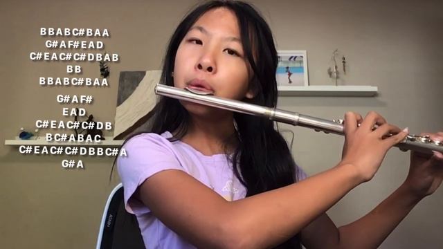 Reflection Mulan flute cover + notes смотреть онлайн
