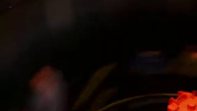 Lelly,Megan&Duggan on The Rotor? смотреть онлайн