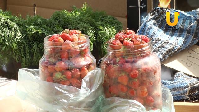 В этом году полевых ягод меньше, чем в прошлом смотреть онлайн