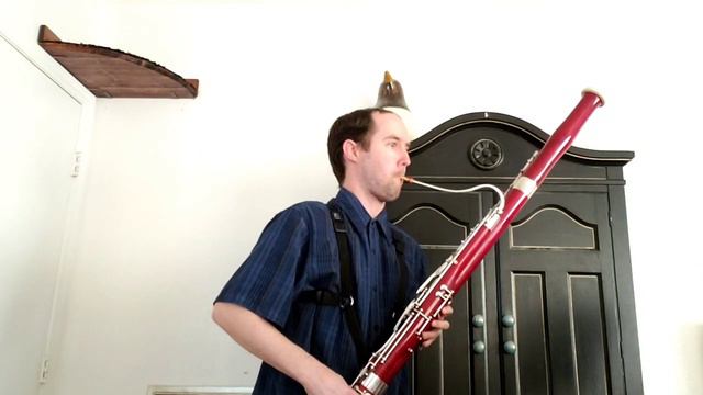 Milde Bassoon Etude No. 19 from Fifty Concert Studies, Op. 26 смотреть онлайн