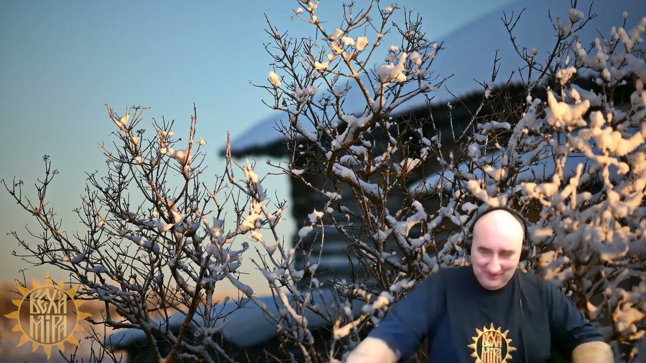 Программа летних курсов. смотреть онлайн