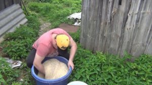 ?Чем кормить уток?? Смотрите зерносмесь для уток! Растут как на дрожжах! Дешевый корм для уток?!