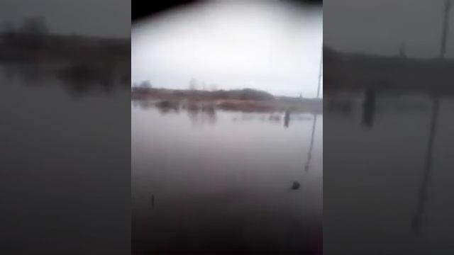 паводок 2018 в волгоградской области с мачеха смотреть онлайн